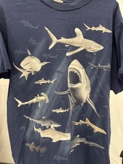Vintage Shedd Aquarium Shark T-Shirt Navy Blue Marine Life Graphic Tee Size XL