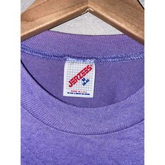 Vintage Arizona Art Shirt Coyote Cactus Desert Tee Purple 1989 80s 1980s Medium