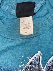 TERESA HOUK FLYING OWL T SHIRT SIZE XXL TEAL BLUE LONG SLEEVE WINTER SNOW SCENE