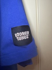 Team USA x Looney Tunes Freeze Max Soccer Loose Fit T-Shirt – Royal Blue Size XL