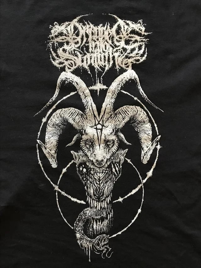Rare Dragged Into Sunlight Unisex Men All Size T-Shirt R131