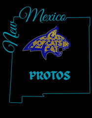 Protos Bobcat Graphic Tee Black Turquoise House System Shirt T-shirt Youth RCA