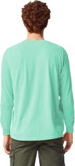 Comfort Colors Adult Long Sleeve Tee, Style G6014