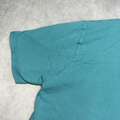 The North Face Mens Graphic T Shirt Adult size Large Teal Blue Short Sleeve Tee