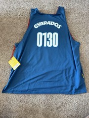 Adult Reversible Jersey Pokemon X Target Collab 30th Gyarados/Magikarp – Large