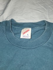 Vintage Made In The USA T Shirt Large Gettysburg Wildflower Hummingbird