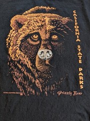 Vintage California State Parks 90s Grizzly Bear T Shirt Size XL Black CA Nature