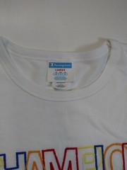 mens champion 100% authentic crewneck L/S t-shirt size large soild logo white