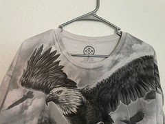 D O M It’s About The Art T Shirt – Soaring Eagle – Size 2XL