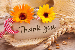 Kyuss – Wretch Sand Unisex Shirt S-5XL K593