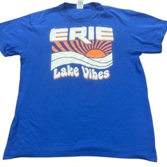 Delta Pro Weight Erie Lake Vibes Graphic T-Shirt Blue Large Retro Sunset Tee