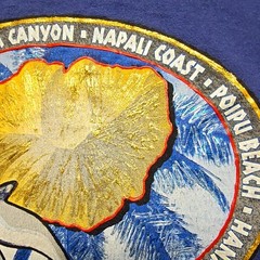 Kauai Hawaii The Garden Isle Graphic Tee Dolphin Tropical Blue 2X Shirt
