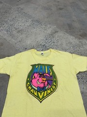 Vintage 70s Male Chauvinist Pig Graphic Tee Rare Roach Studios L Single Stitch