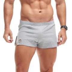 AMY COULEE Mens 3 Inch Cotton Gym Shorts Bodybuilding Lifting Small, Gray