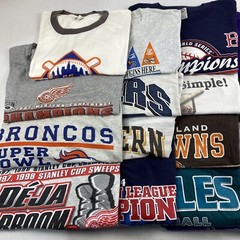 Wholesale Lot of 20 Men’s Sports Tee Shirts (Size Breakdown in Desc)