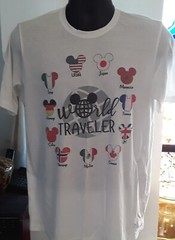 Next Level Apparel Short Sleeve World Traveler T-Shirt Large 65/35 blend