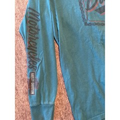 Harley Davidson Chandler Arizona Rattlesnake Long Sleeve T-Shirt Teal Mens XL