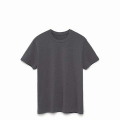 Original Favorites 100% Supima Cotton – Slate – All Sizes – T Shirt Blank NWT