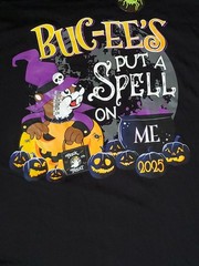 Buc-ee’s Halloween 2025~Put A Spell on Me~T-Shirt~Size 2XL~Glow in Dark~