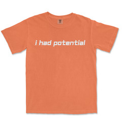 I Had Potential Shirt Funny T-Shirts Men Graphic Shirt Funny Shirt For Men