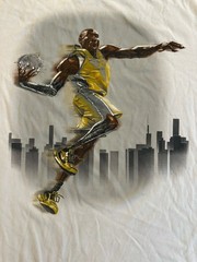 Vintage Nike 2014 KOBE BRYANT Mamba T-Shirt Tee Size Medium M (589459-100)