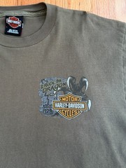 Harley Davidson I Rode The Dragon T Shirt Size Large Gray Smokey Mountain TN 07