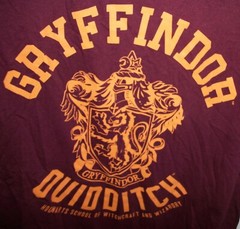 Harry Potter Wizarding World Gryffindor Quidditch T-Shirt Burgandy M