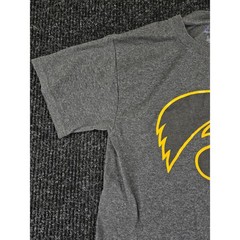 Champion Mens Iowa Hawkeyes Graphic T-Shirt Heather Charcoal Small NCAA Tee