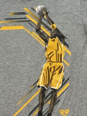 Nike Kobe Bryant Dri-fit T Shirt Large
