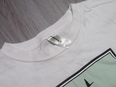Apple Park Pond T-Shirt (White / Multi), 100% Cotton Size 3XL Men Pre Owned