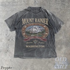 Vintage Mount Rainier Washington Graphic Comfort Tee