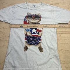 Cat Patriotic Headband Glasses And Popsicles Size S (34-36)￼