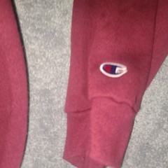 Champion Authentic Athletic Wear Pullover Hoodie Size 2XL Spellout Scripts Red