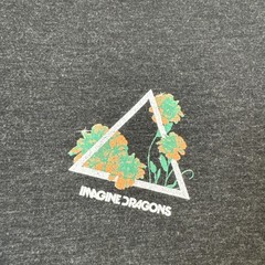 Imagine Dragons Evolve Tour Mens Medium T-Shirt Dark Gray 2018 Concert