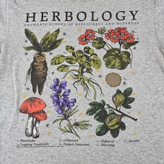Harry Potter Herbology Shirt Men’s Size Small (34/36) Gray