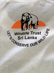 Vintage Yala National Park Sri Lanka Elephant T-Shirt Single Stitch Size XL