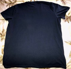 Hollister Must Have Collection Men’s Navy Blue T-Shirt, Logo Accent, Size Large
