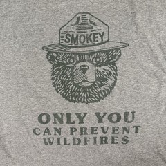 Smokey Bear T Shirt Official Licensed, Gray XL Retro Graphic Tee, Forest Service
