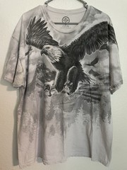 D O M It’s About The Art T Shirt – Soaring Eagle – Size 2XL