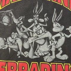 Vintage 1994 Maryland Terrapins Looney Tunes T Shirt XL Tultex NCAA USA 90s RARE