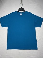 VTG Hanes Heavyweight 50/50 Blank T-Shirt M Blue Double Stitch Y2K