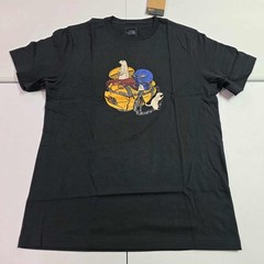 North Face Men’s Woodland Wanderer Regular Short Sleeve Tee NWT