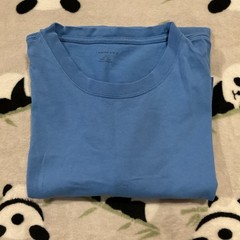 Lands End Men’s T Shirt Size Large Light Blue Short Sleeve