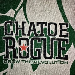Men’s Beer T Shirt Rogue Ales & Spirits Vintage y2k Washed Out Sage Hops Malt
