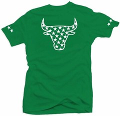 Shirt to Match Jordan Retro 1 Pine Green 2020- Bull Stars Green