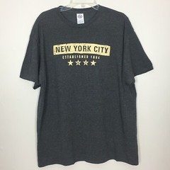 Delta Pro Weight Graphic T-Shirt Mens XL New York City Gray Crew Neck