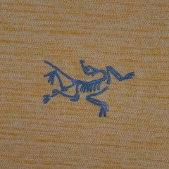 Arc’teryx Cormac Crew Neck Logo T Shirt Mens Large Yellow Performance Hike NWOT