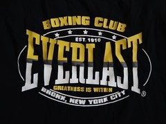 Everlast Boxing Club Boxer Tee Tank Top Sport T Shirt Streetwear, Men`s Size M