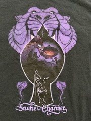 Disney Aladdin Movie Shirt Adult Medium Snake Charmer Jafar Cave Of Wonders