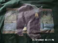 NEW T-Shirt: Black Bear Walking (LOTS of Colors & Sizes)